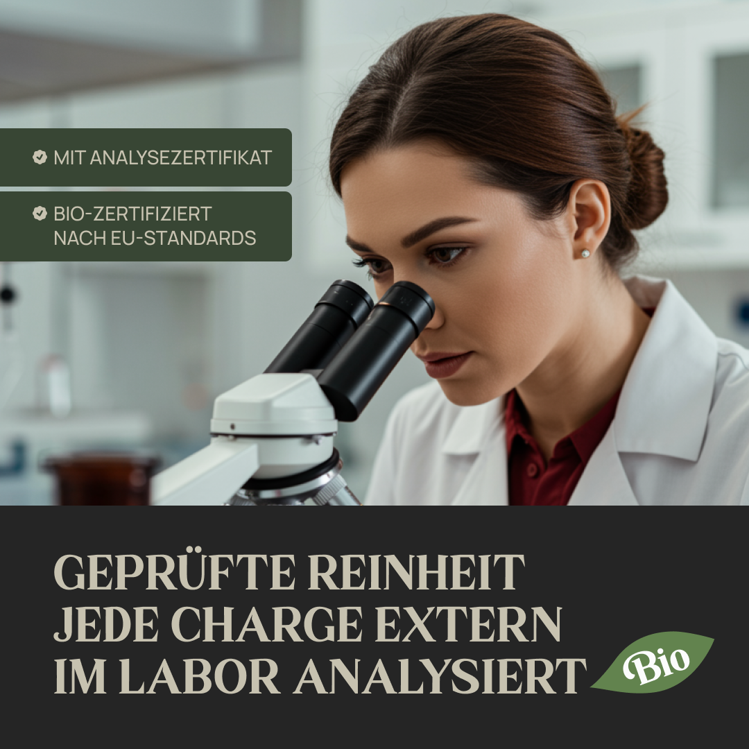 Bio Knochenbrühe Pulver