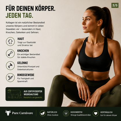 Kollagenhydrolysat Pulver