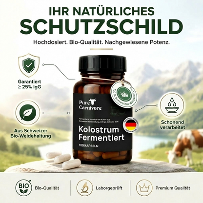 Kolostrum Fermentiert
