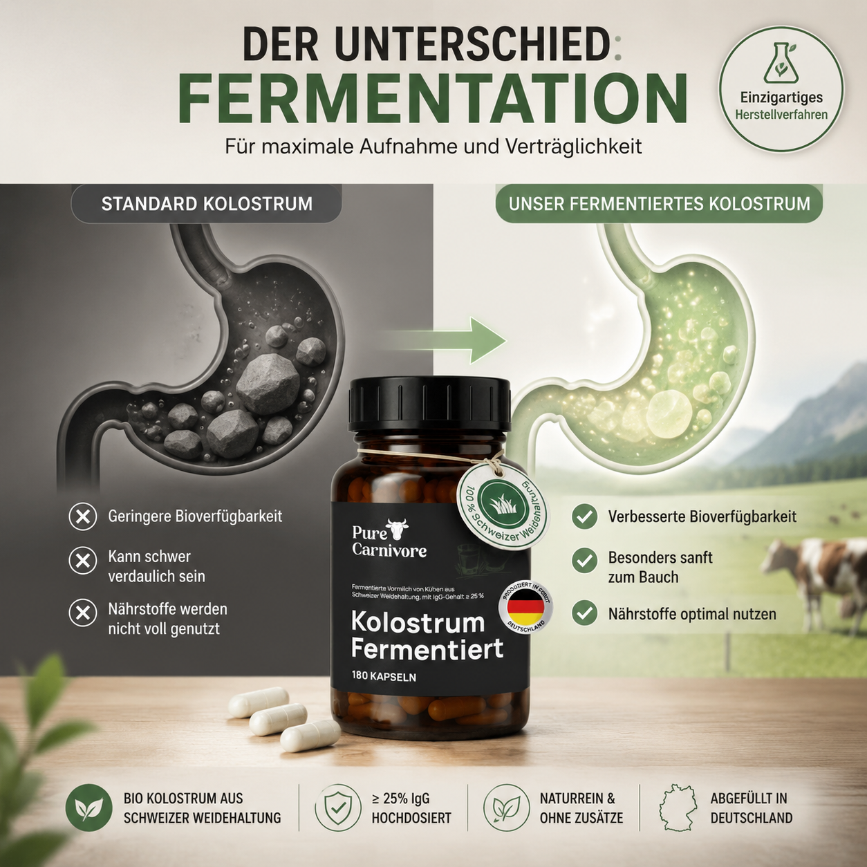 Kolostrum Fermentiert